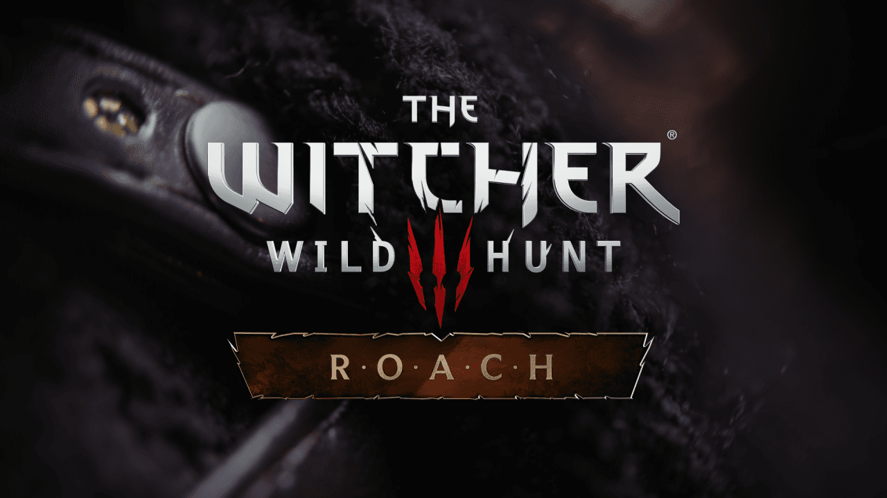 Project R.O.A.C.H. 登場